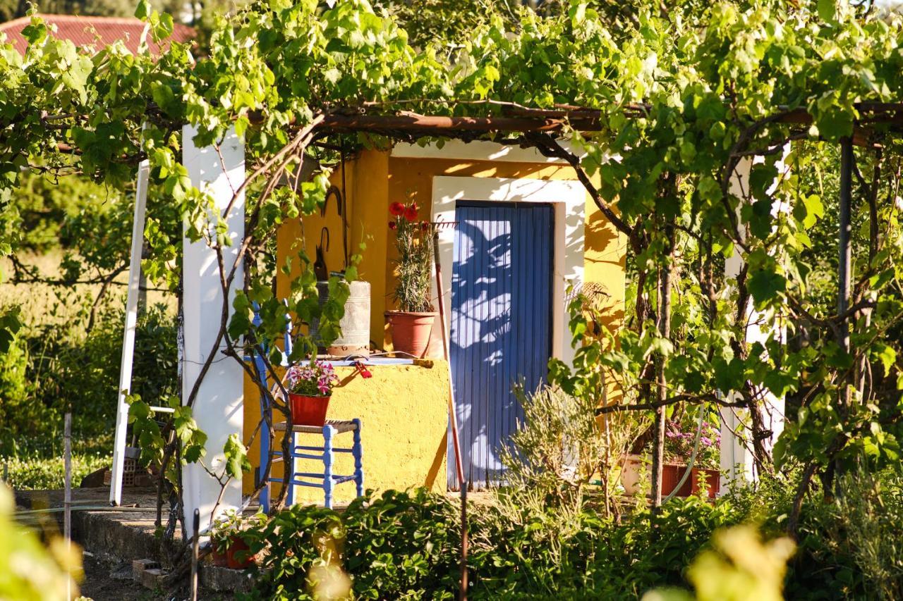 Villa Sandra Litheres Exteriér fotografie