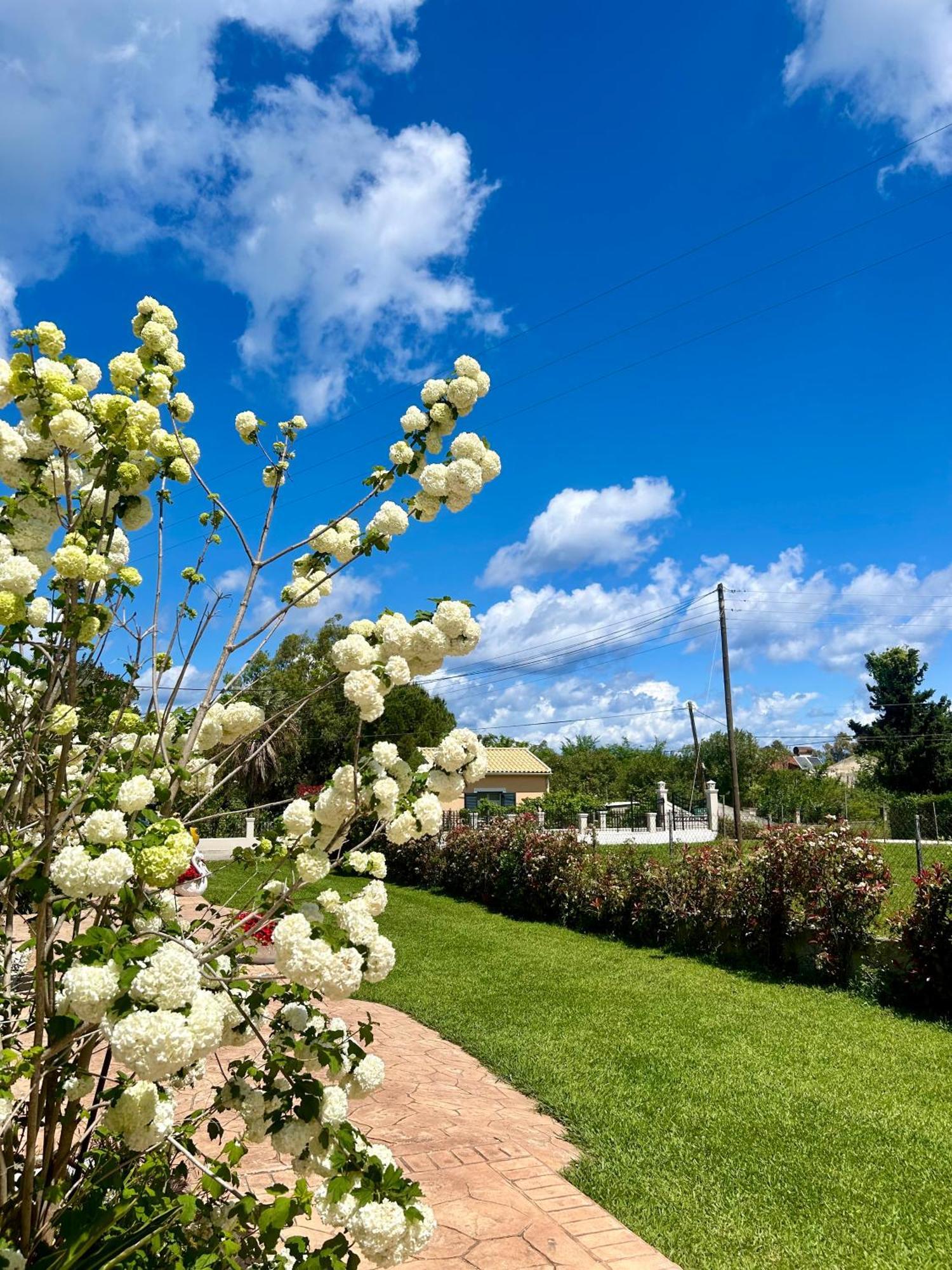 Villa Sandra Litheres Exteriér fotografie
