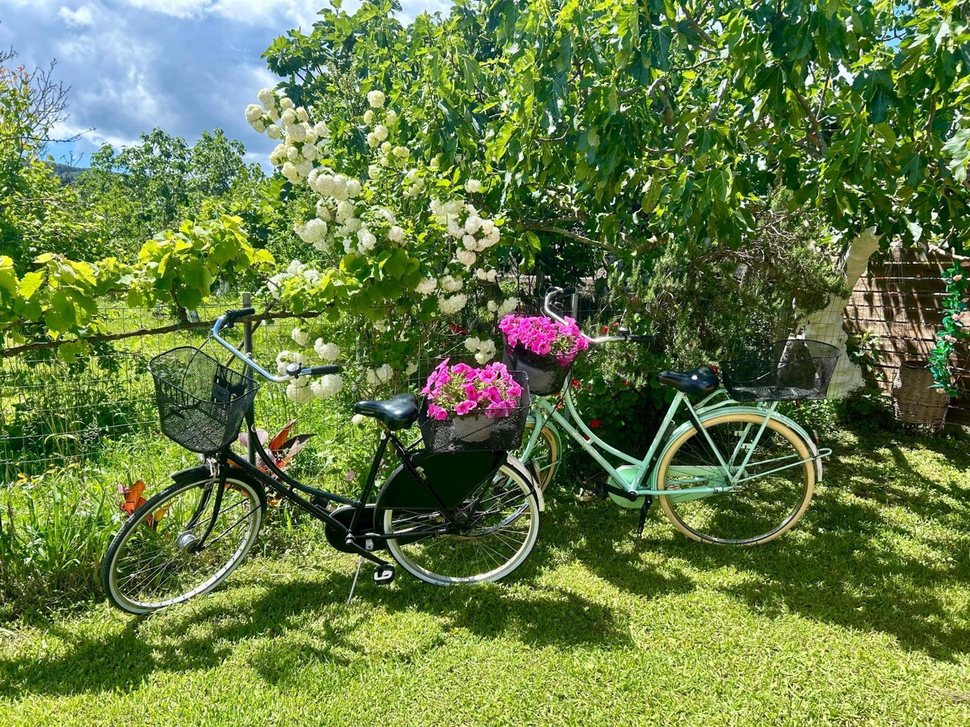 Villa Sandra Litheres Exteriér fotografie